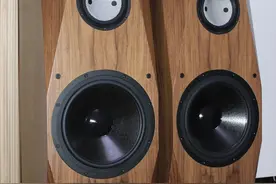 铂金十二E试音欣赏（一）：蔡琴 老歌（2018）图片