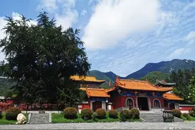 禹州有棵千年白果树，陪伴龙泉寺1500年，被称“中华树王”图片