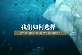 全球连线 | 重磅微视频：万物生图片