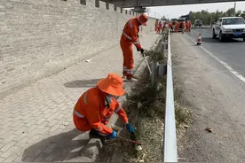 以师带徒，促青年职工成长成才图片