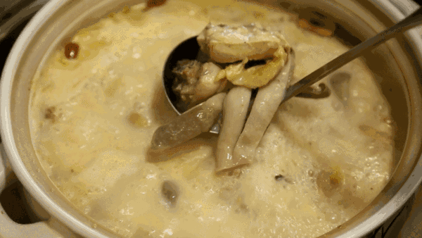 佘自強 花胶汤 2026年佘自强的汤可信吗