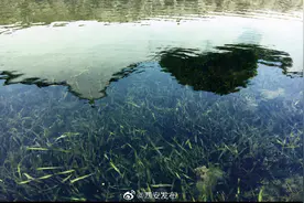 年底前西安13条主要河流将全面完成生态治理图片