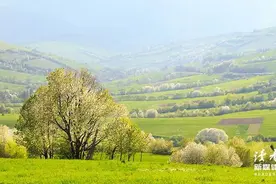 我用小号加老公微信，给他发了一张照片，他把我拉黑了图片