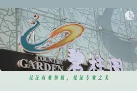 碧桂园“打虎”：房企为何热衷于反腐？图片