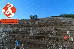 关于关停喀喇沁旗无线模拟电视信号的公告图片