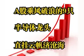 A股“乘风破浪”的9只半导体龙头，直挂云帆济沧海图片