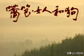 电视剧《篱笆女人与狗》|经典女人命运三部曲之一图片
