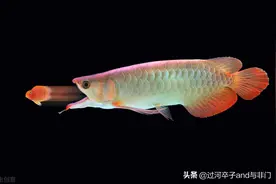 印度人为什么总是出尔反尔，根源在于他们有六种和邻国相处的办法图片