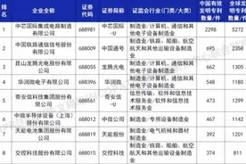 被低估的中国芯片大厂，坐拥1180件专利，如今核心技术人员要离职图片
