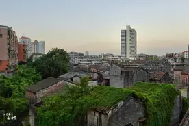 东北人“过冬养老”，相中广东3座城市，房价物价比三亚便宜很多图片