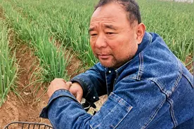 菜农老王五亩大葱丰收，三毛一斤无人问，村支书让村民卖完他再卖图片