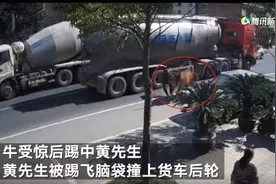 货车鸣笛牛受惊后将主人踢飞撞上车轮受伤 看法院如何认定图片