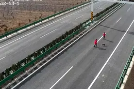 渭南交警被吓一跳：女子在高速路上带小孩遛狗还拍抖音！图片