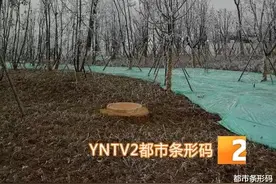 云南真下҈！雪҈！了҈！城里人等雪，城外雪山、草场、高速路已是梦幻世界图片