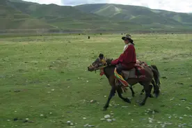 康巴汉子上马背帅气翻倍，丁真得了青龙马，“理塘一哥”完成交接图片