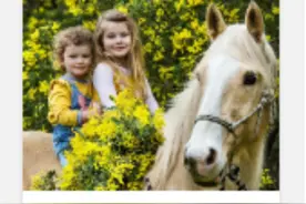 澳洲气象局：维州今年春天将比往年更潮湿温暖图片