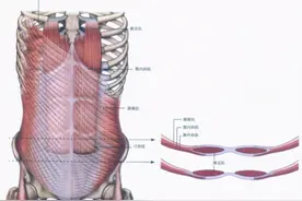 新手健身多久能看到明显变化图片