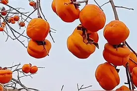 壁纸美图，愿你事事如意，开心快乐图片