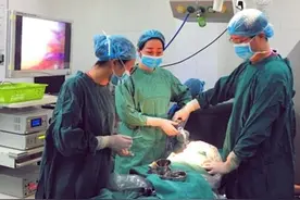 产妇生完娃男医生的手又进去了，陪产丈夫大怒，医生反怼：为她好图片