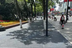 虹口这些马路悄悄变样了，有你家附近的吗？图片