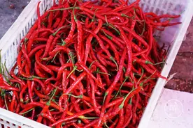 这个季节四川人必做的万能酱料，我家一做就是40斤图片