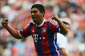 生不逢时当属埃尔伯！身为拜仁外籍射手王，却遭巴西国家队弃用图片