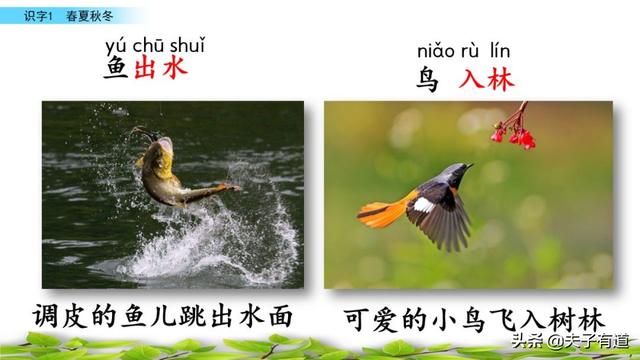 部编版一年级下册语文《春夏秋冬》知识点+图文讲解，给孩子预习