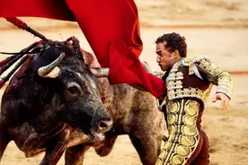 图片故事｜西班牙斗牛：杀戮还是艺术？图片