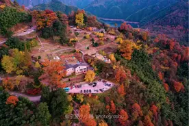 浙江最美的秋色，在这条盘山公路上图片