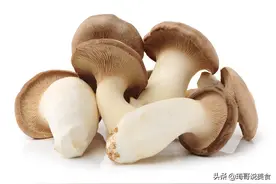 买杏鲍菇，不光要挑小的，还有“3买3不买”，杏鲍菇新鲜口感好图片