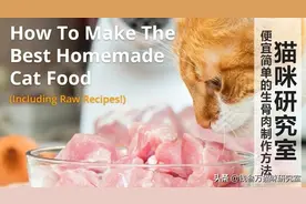 鸡胸肉猫饭的配制方法，懒人专用「无骨头猫饭通用配方」图片