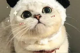 情侣头像：“青春”“高冷”“呆萌”头像，拿图点赞图片