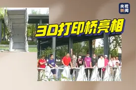 中国首座3D打印桥亮相上海 可承重20个成年人图片