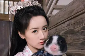 知名女星宠物猪走丢，助理寻找与路人爆发冲突！大声吼叫遭批傲慢图片