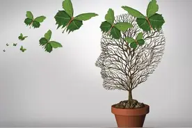 微信加好友操作过于频繁 请稍后再试怎么解决图片