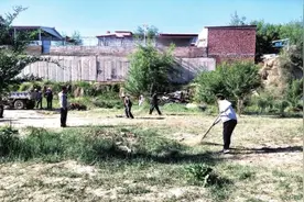 兰州市城关区伏龙坪街道推进农村人居环境治理 措施硬有成效图片