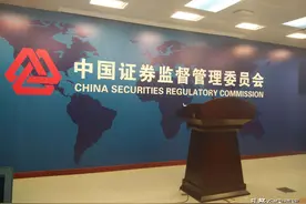 宋清辉：拟IPO公司业绩不稳且出现亏损 是上市进程中重要隐形风险图片