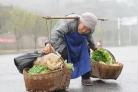 进了社会才明白，当年父母和老师说的话，全都是对的图片