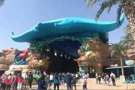 珠海长隆海洋王国攻略——不遗漏表演图片