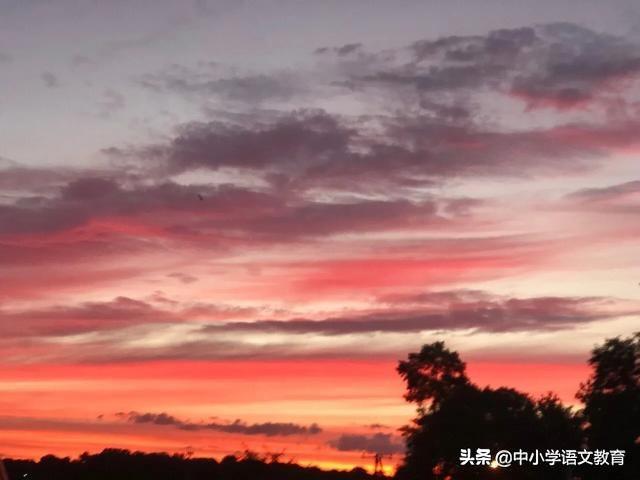 (每日一课)八年级下册语文寒假预习:20课基础字词汇总