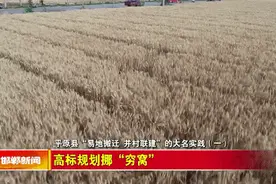 平原县“易地搬迁 并村联建”的大名实践（一）高标规划“挪穷窝”图片