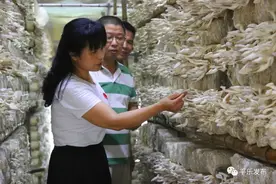 桂林平乐|了不起的平乐“花木兰”！图片