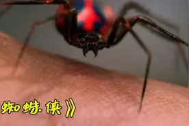 将彼得咬成蜘蛛侠的那只蜘蛛后来怎么样了？后续故事漫威都不敢拍图片