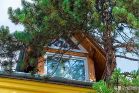 老话说“树夹屋路剪房，不败也得亡”啥意思？蕴含古人建房的讲究图片