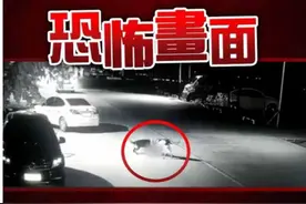 恶狗攻击男童致重伤：狗弱点在哪？被恶狗攻击时应该怎么办？图片