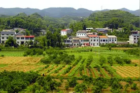 红砖被禁，沙子涨价，农房要统一规划，农村自建和城里买房谁划算图片