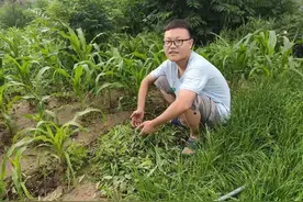 盐山学子赵国泰获颁天天正能量追梦奖学金一万元图片