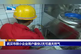 武汉市微小企业用户最快2天可通天然气视频封面