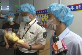 网红肉蟹煲餐厅被曝食材过期！突击检查深圳门店情况→图片
