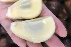 望之不寒而栗，触之坚硬如鳞，争议大，价格高，这也叫美味水果？图片